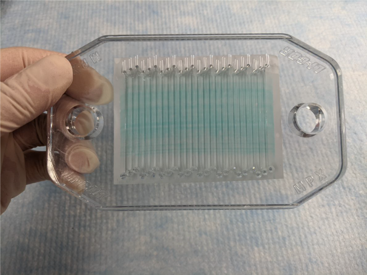 Aligning the MPX channels with the membrane