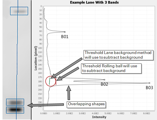 Image Studio lane vs rolling ball background threshold