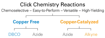 click chemistry workflows