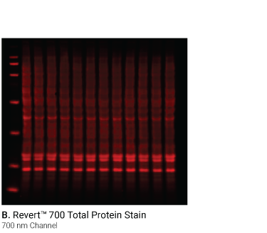 Membrane Data