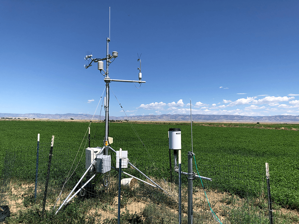 LI-COR soil chambers measuring coastal forests after flooding